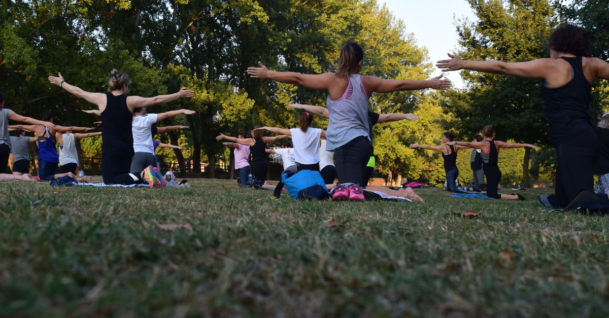 Group Class Reviews: Insights from Geelong Fitness Enthusiasts