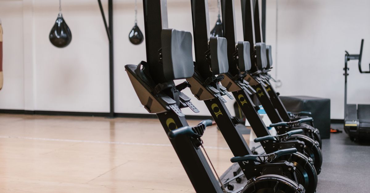 The Impact of Diverse Workouts on Long-term Adherence